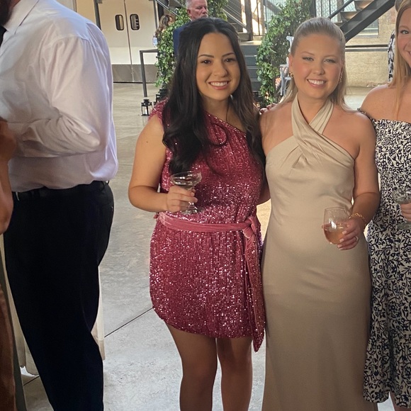 Retrofete Ella Pink Dress - Picture 2 of 2